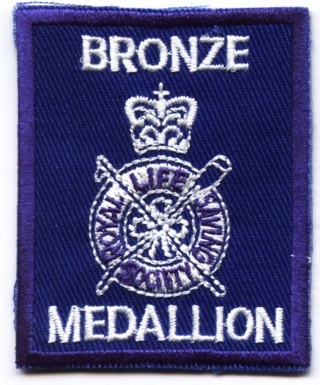 Bronze Medallion 3 Year
